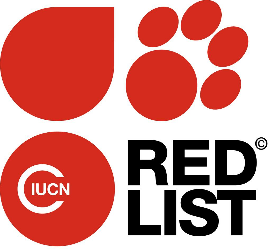Liste Rouge Mondiale LC : Préoccupation mineure / Liste Rouge Européenne LC : Préoccupation mineure