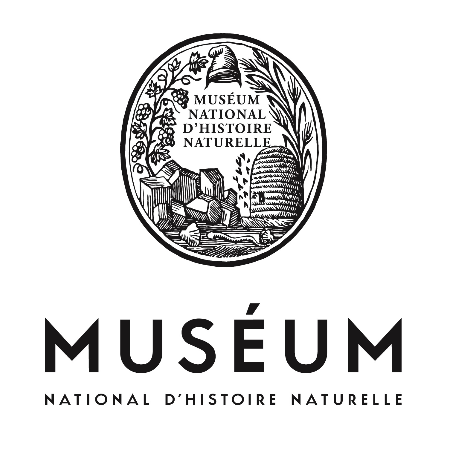 Logo_MNHN-Centre-Noir.jpg